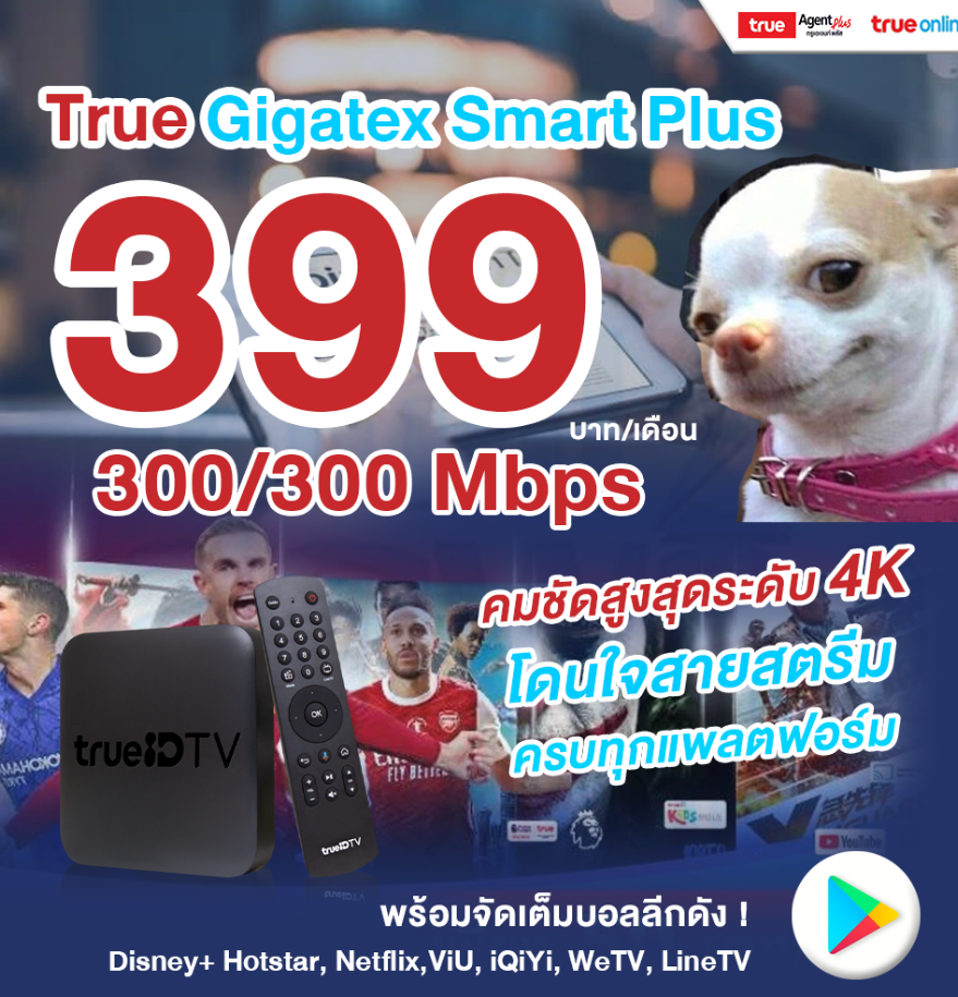 True Gigatex Smart Plus